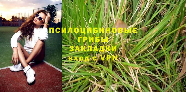 экстази Белокуриха