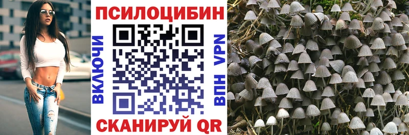 Галлюциногенные грибы Cubensis  Бородино 